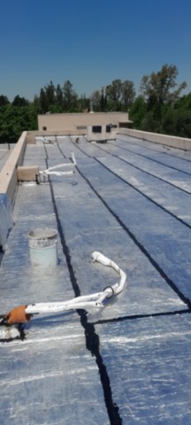 Terraza 1